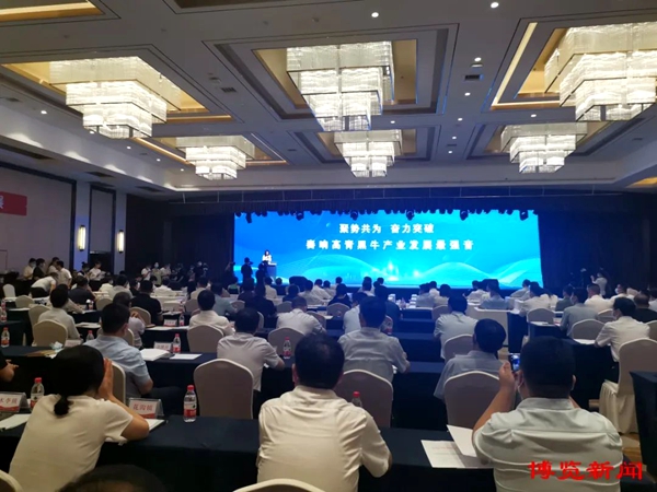 Gaoqing county holds black cattle industry development forum