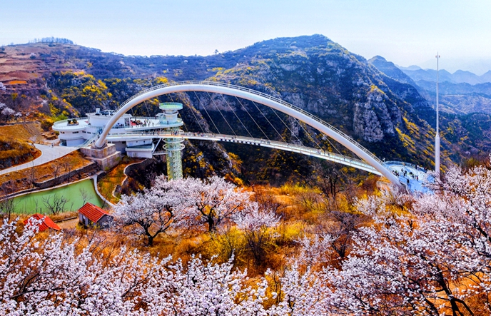 Watch this: Admire enchanting blossoms at Tanxi Mountain