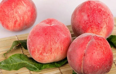 Super delicious Zibo peaches ready for market
