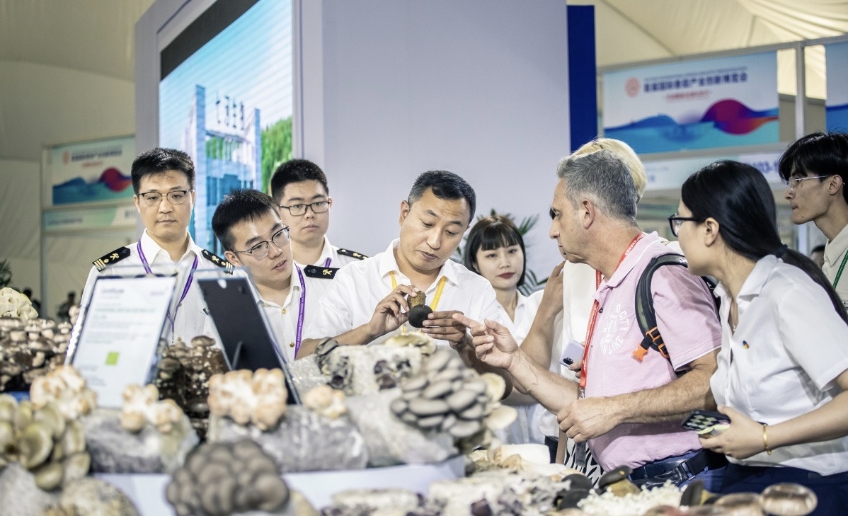 Zibo Customs ups efforts to promote global mushroom market