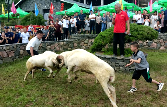 Sample some mutton in Yiyuan county during sanfu